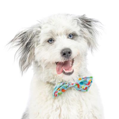 Yard Birds Bow Tie