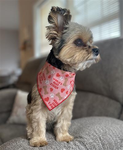 Valentine Bandana | Valentines Day Bandana | Worlds Best Kisser