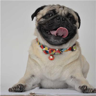 Daruma Charm Bow Tie Dog Collar (Medium, Red)