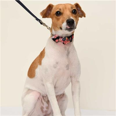 Origami Bow Tie Dog Collar (Medium, Black)