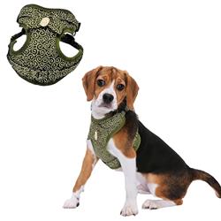 Extra Product Image
