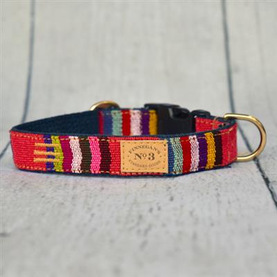 1" Viggo Stripes Collar & Leads