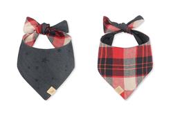 Doggy Duo Bandana - The Adventurer