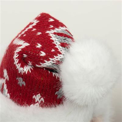 Beach Bum Santa Knottie® Plush Dog Toy