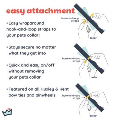 What, Me Worry Turkey Bow Tie