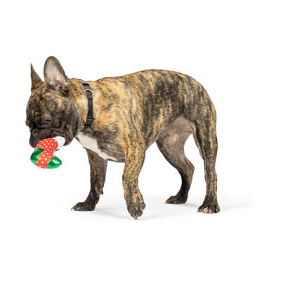 Tiny Tuff Ugly Sweater Party Dog Toys 2pk