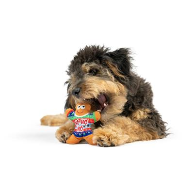 Tiny Tuff Ugly Sweater Party Dog Toys 2pk