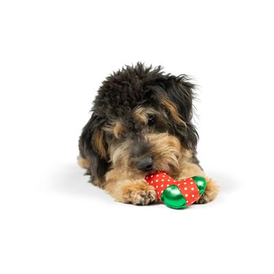 Tiny Tuff Ugly Sweater Party Dog Toys 2pk