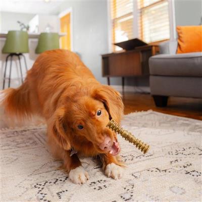 Stella & Chewy's Dog Dental Delights Large 4 Pack