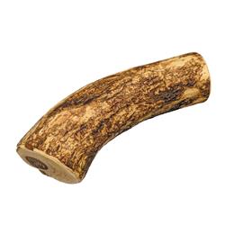 Spot Olive Wood Dog Chew 1ea/XL