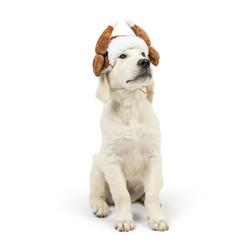 Extra Product Image