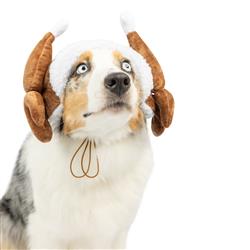 Extra Product Image
