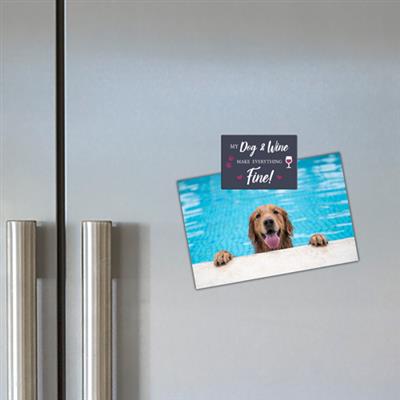 I apologize to my Dog when I go out -  3.5" x 2.5" Magnets