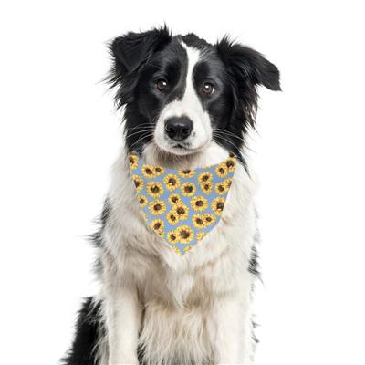 Fall Bandana, Flower Bandana, Tie Dog Bandana | Spring Bandana | Sunflower Bandana | Summer