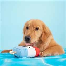 Extra Product Image