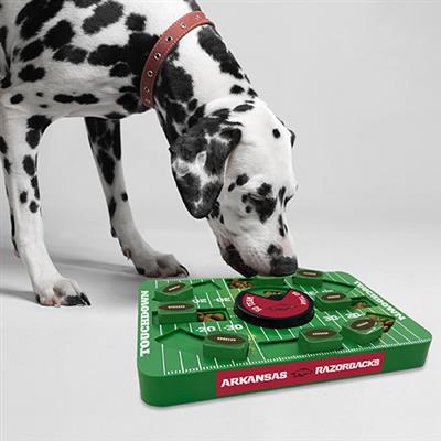 NCAA Arkansas LARGE Puzzle Toy
