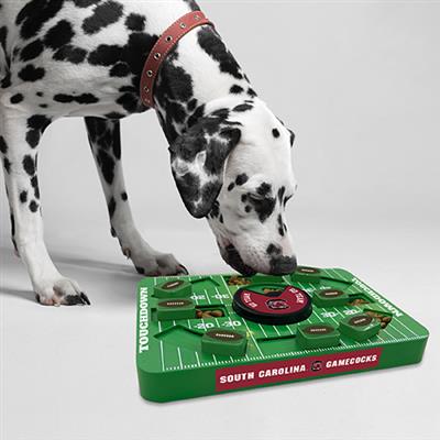 NCAA South Carolina LARGE Puzzle Toy