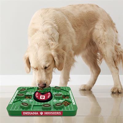 NCAA Indiana LARGE Puzzle Toy