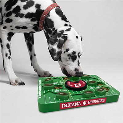 NCAA Indiana LARGE Puzzle Toy