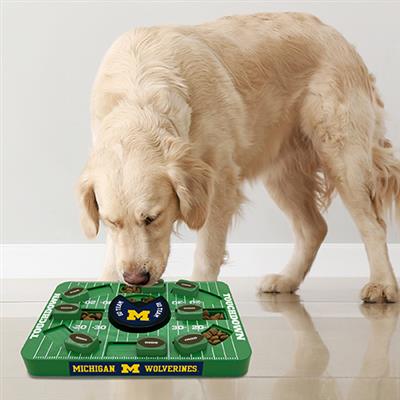 NCAA Michigan LARGE Puzzle Toy