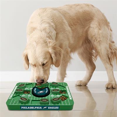 NFL Philadelphia Eagles LARGE Puzzle Toy