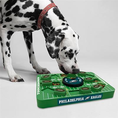 NFL Philadelphia Eagles LARGE Puzzle Toy