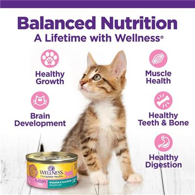 Wellness Complete Health Kitten Whitefish Tuna Pate 3oz. (Case of 24)