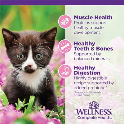 Wellness Complete Health Kitten Whitefish Tuna Pate 3oz. (Case of 24)