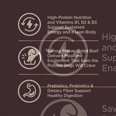 Wellness Core+ 18Lb Beef Barley Adult