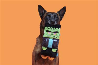 BARK Cranky Frankie Plush Dog Toy Small/Medium