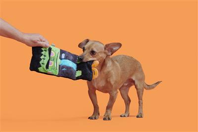 BARK Cranky Frankie Plush Dog Toy Small/Medium