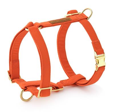 Cider Dog Harness