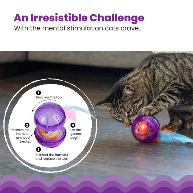 thumbnail interactive-video image 1 of HEMOTON Cat Interactive Indoor Cats Electric Teaser Ball Baby 1 of 10