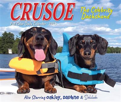 Crusoe the Celebrity Dachshund 2025 Box Calendar