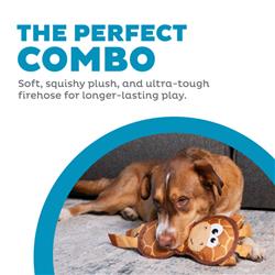 Extra Product Image