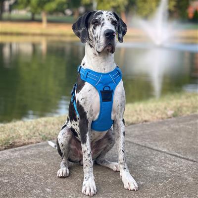 Venture Paw Pull Control Dog Harness - Mountain Lake