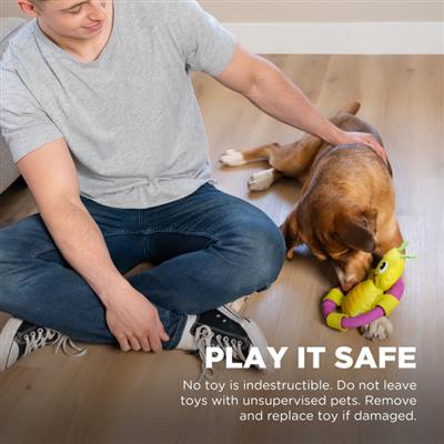 Ring Aroundrz Grasshopper