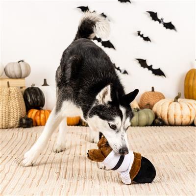 Love At First Fright Plush Dog Toy