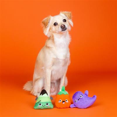 Spooky Squad 3PCS Small Dog Toy