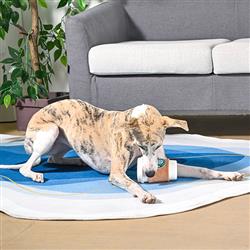 Extra Product Image