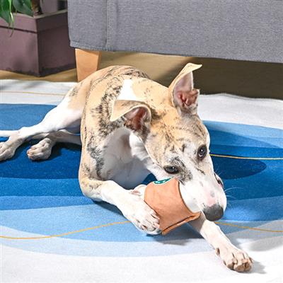 Coffee Hour — StarPaws Coffee | TPR Rubber Dog Toy