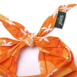 Extra Product Image
