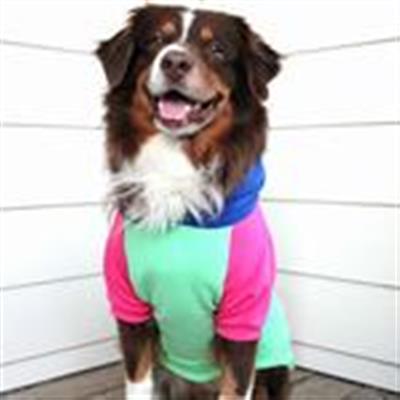Color-Block Hoodie - Pink on Mint