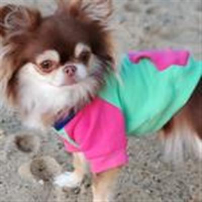 Color-Block Hoodie - Pink on Mint