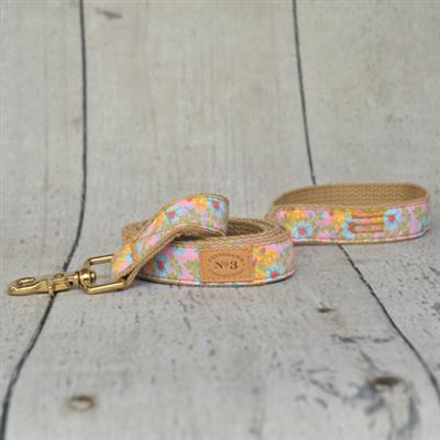 Engineer Stripe Collars and Leads - COPY