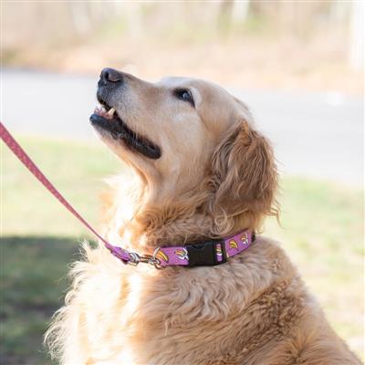 Up Country Sport Collar Go Bananas Collar
