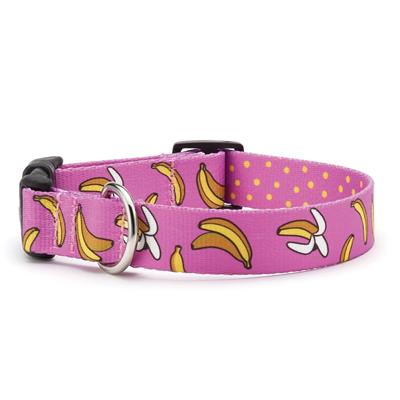 Up Country Sport Collar Go Bananas Collar