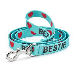 Up Country Sport Bestie Lead 5' Wide