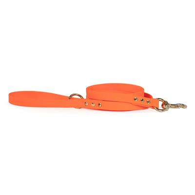 Upland & Downstream  Owasco Leash