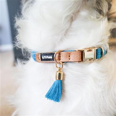 Li'l Pals® Woven Collars & Leads with Tassel